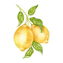 Similar image 22236287