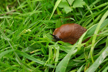 Similar image 22234867