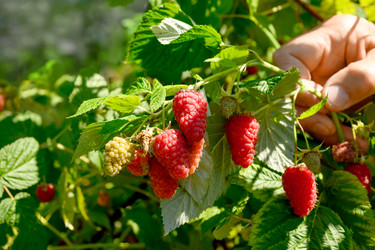 Similar image 22235730