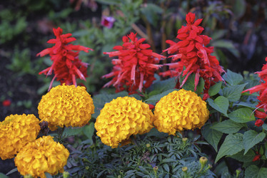 Similar image 22235373