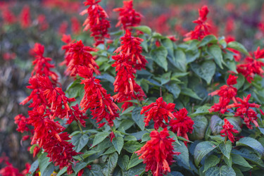 Similar image 22235374