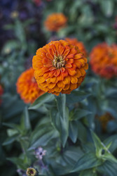 Similar image 22235377