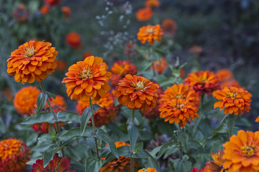 Similar image 22235378