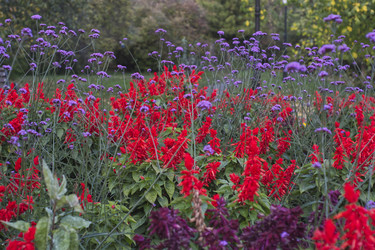 Similar image 22235382