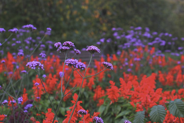 Similar image 22235383