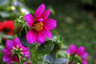 Similar image 22235388