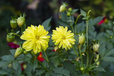 Similar image 22235390