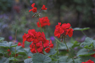 Similar image 22235391