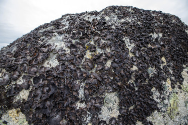 Similar image 22258035