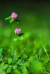 Similar image 22258038