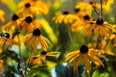 Similar image 22258039