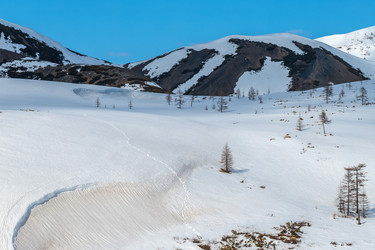 Similar image 22258042