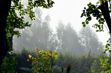 Similar image 22235093