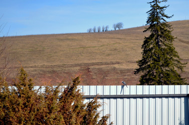 Similar image 22235095