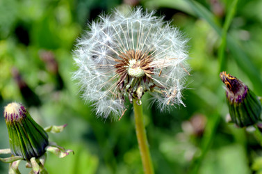 Similar image 22235096