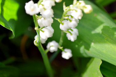 Similar image 22235097