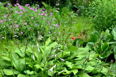 Similar image 22235102