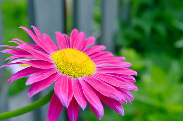 Similar image 22235103