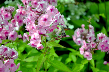 Similar image 22235104