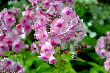 Similar image 22235105