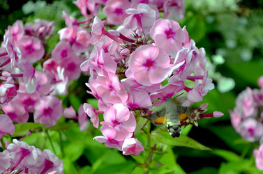 Similar image 22235106