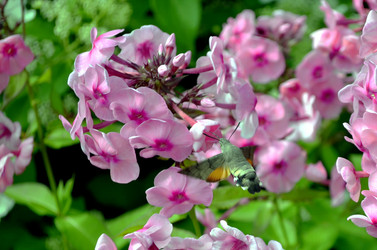 Similar image 22235107