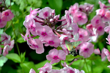 Similar image 22235108