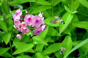 Similar image 22235394