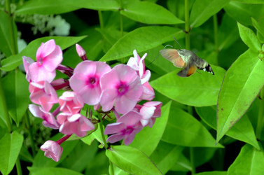 Similar image 22235395