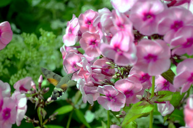 Similar image 22235396