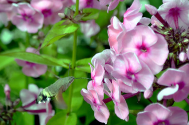 Similar image 22235397