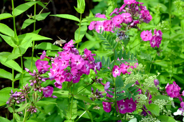 Similar image 22235398