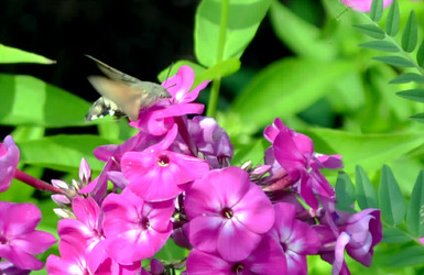 Similar image 22235109