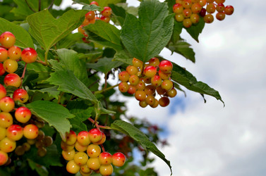 Similar image 22235110