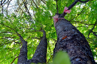 Similar image 22235114