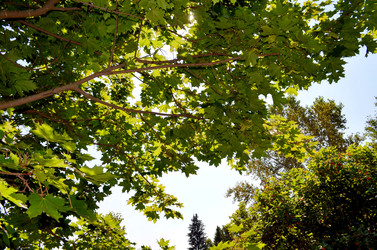 Similar image 22235115