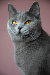 Similar image 22235407