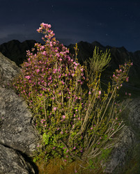 Similar image 22235738