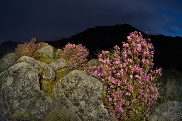 Similar image 22235739