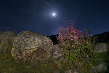 Similar image 22235740