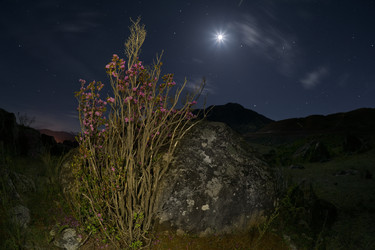 Similar image 22235741