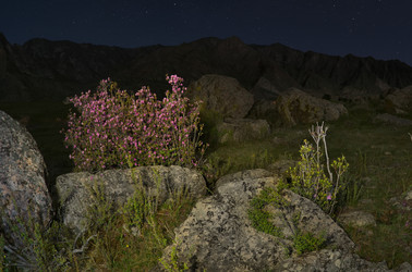 Similar image 22235742