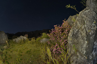 Similar image 22235743