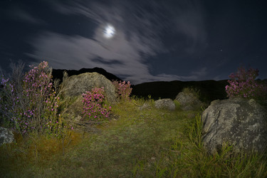 Similar image 22235744