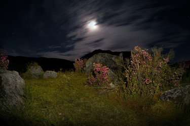 Similar image 22235745