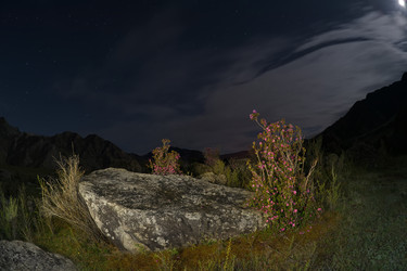 Similar image 22235746