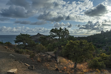 Similar image 22235748