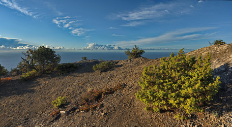 Similar image 22235750