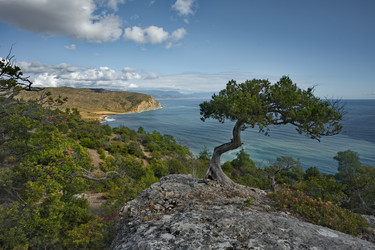 Similar image 22235751