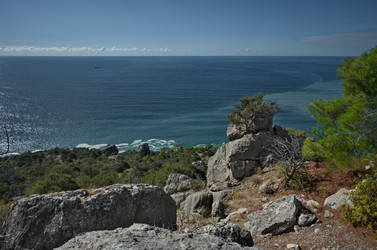 Similar image 22235753